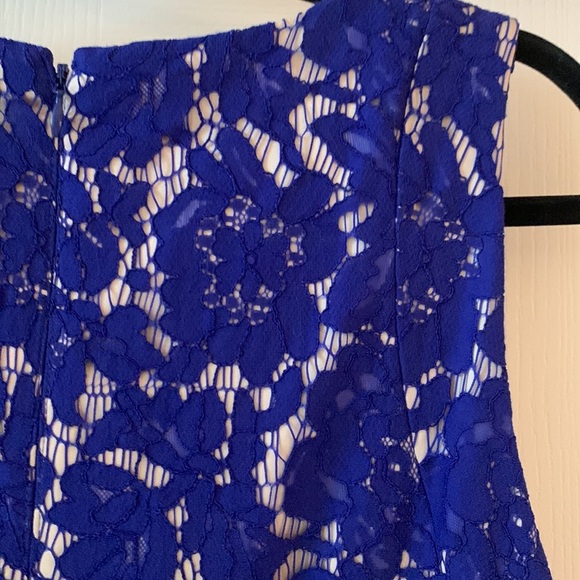 Eliza J Royal Blue Lace Fit & Flare Sleeveless Party Cocktail Line - Picture 8 of 17